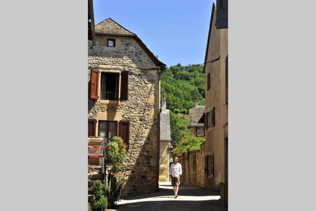 Au 11 T3 Duplex, Village Vacances, Piscines, Parking Saint-Geniez-dʼOlt المظهر الخارجي الصورة