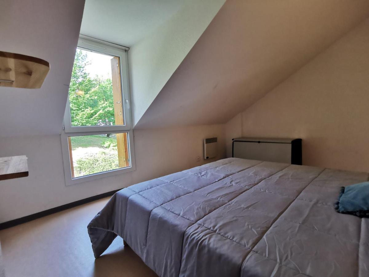 Au 11 T3 Duplex, Village Vacances, Piscines, Parking Saint-Geniez-dʼOlt المظهر الخارجي الصورة