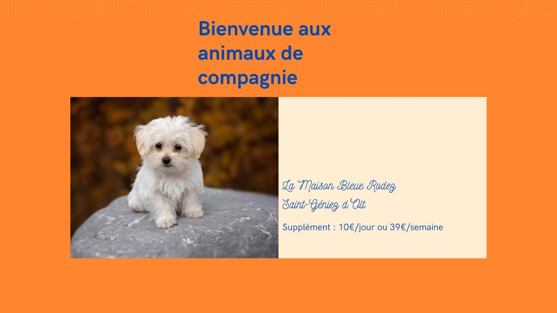 Au 11 T3 Duplex, Village Vacances, Piscines, Parking Saint-Geniez-dʼOlt المظهر الخارجي الصورة